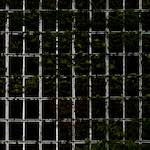 Image: Second image from the photoset 'paris (xii)'.