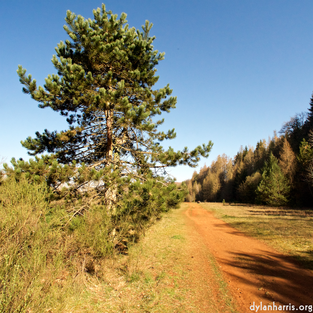 image: Image 'terres rouges (xiii) 3'