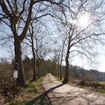 image: Image from the photoset ‘
terres rouges (xiii)
’.