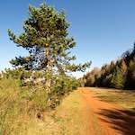 image: Image from the photoset ‘
terres rouges (xiii)
’.