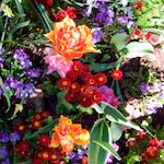 Image: Fifth image from the photoset 'escher blummen (iv)'.