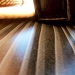 Image: Fifth image from the photoset 'escher blummen (v)'.