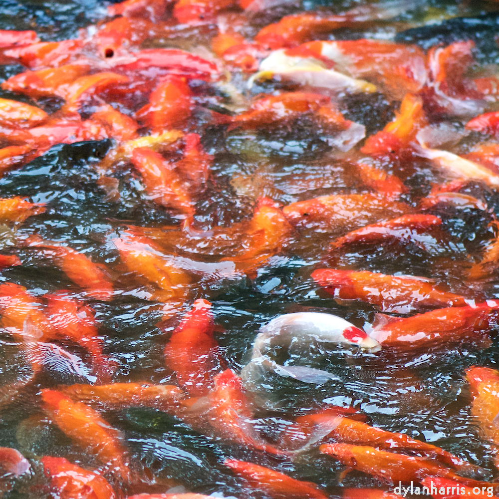 image: This is ‘
summer palace (i) 1
’.