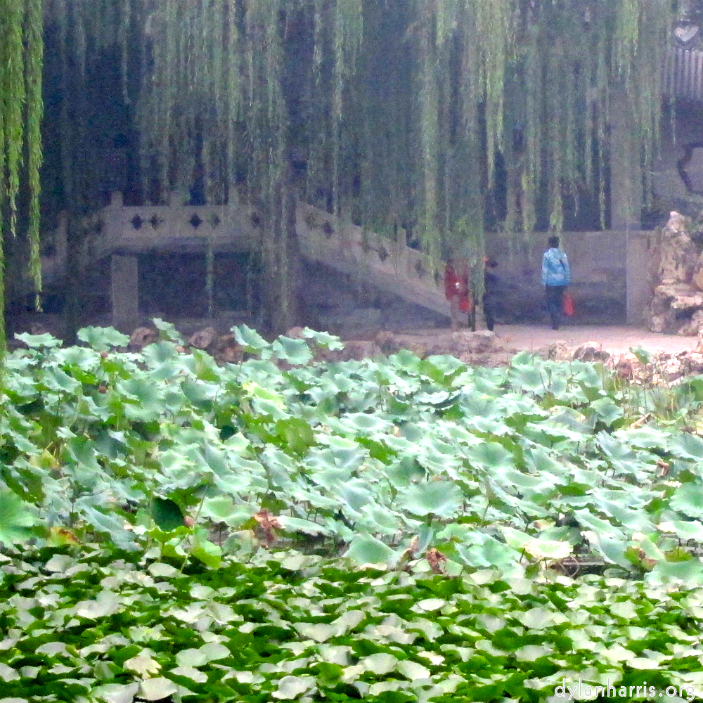 image: This is ‘
summer palace (i) 4
’.