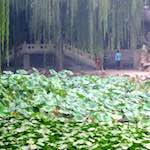 image: Image from the photoset ‘
summer palace (i)
’.