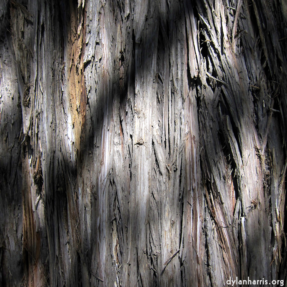 Image: Image 'beijing (iv) 1'.