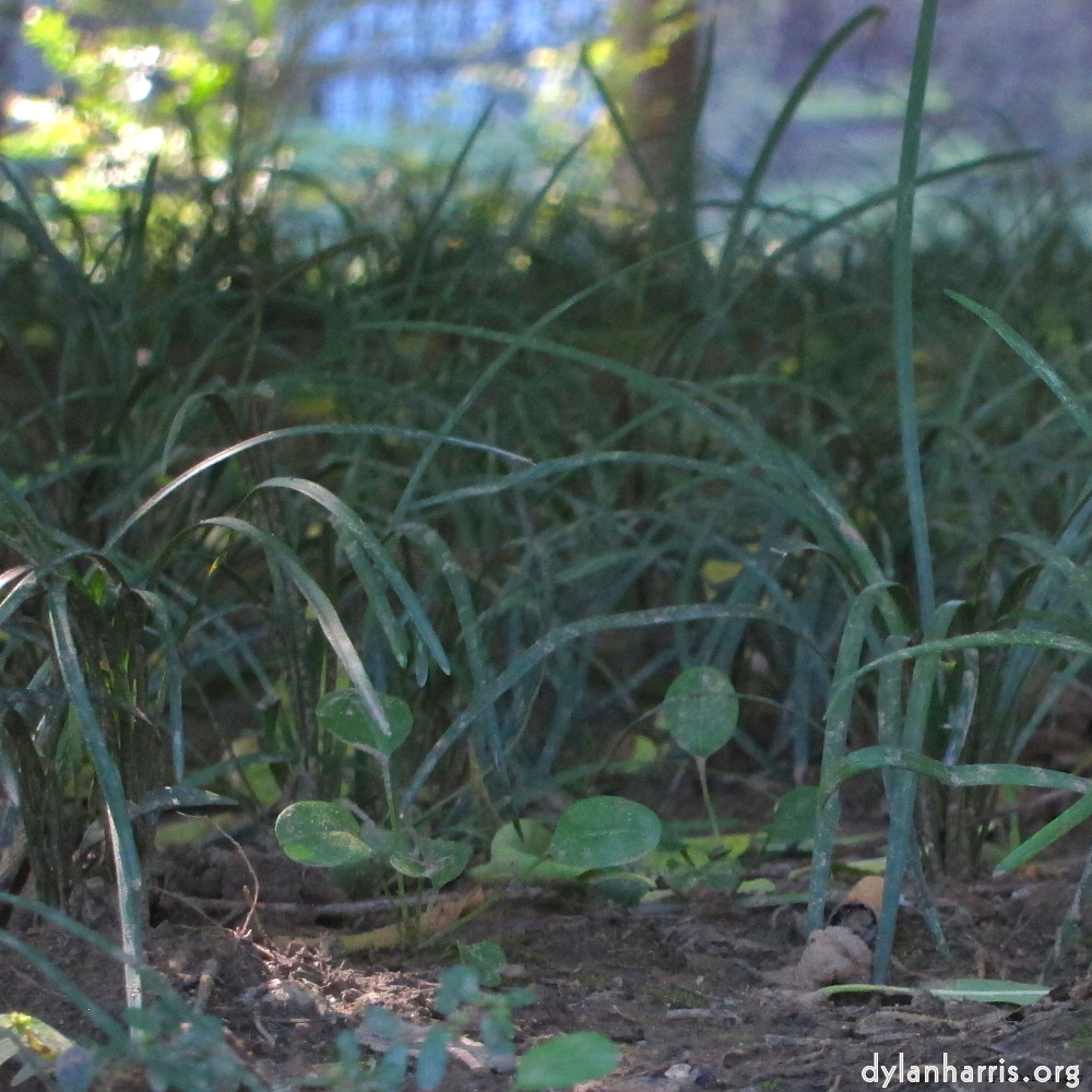 Image: Image 'beijing (iv) 3'.