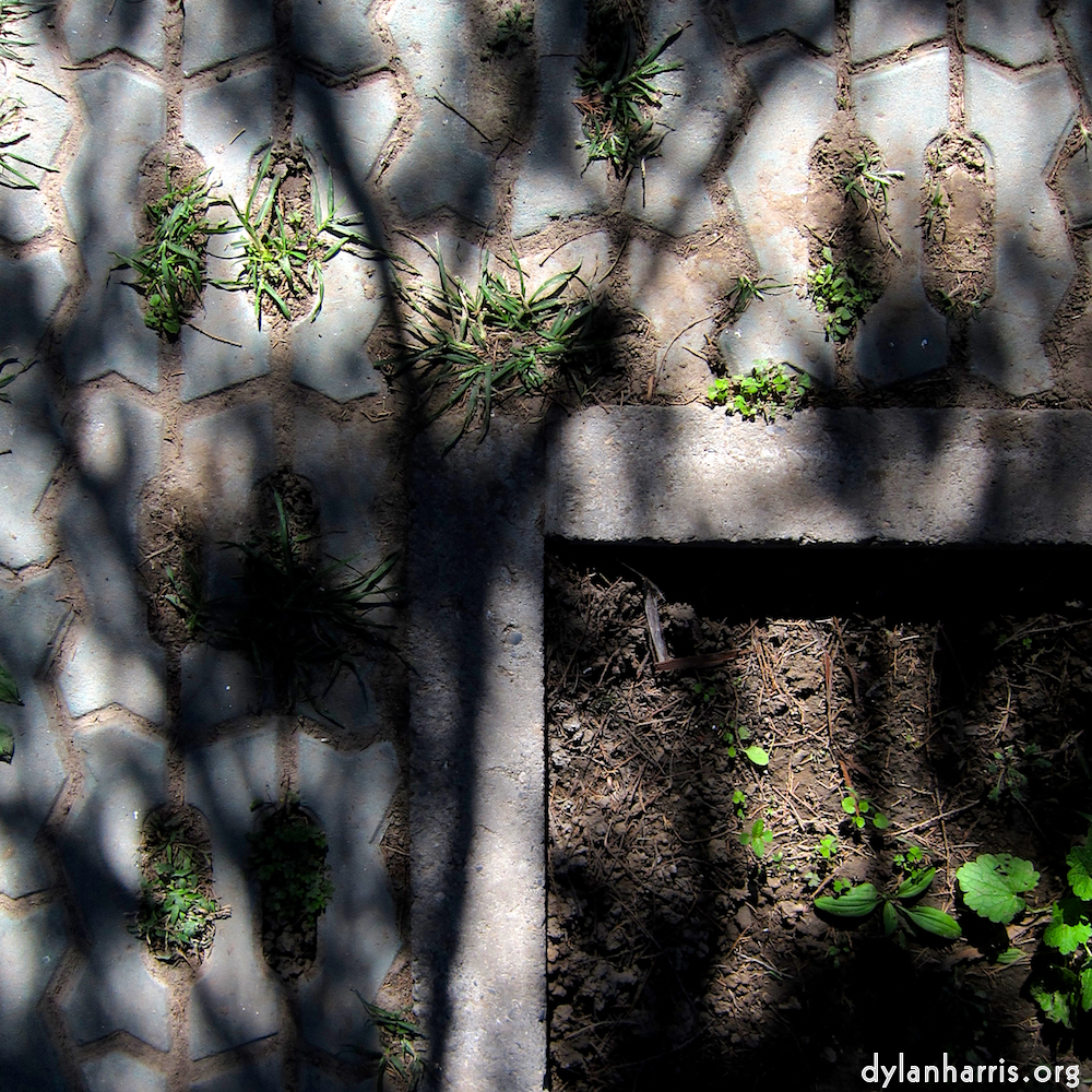 Image: Image 'beijing (iv) 4'.