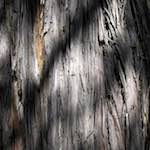 Image: First image from the photoset 'beijing (iv)'.