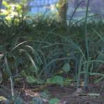 Image: Third image from the photoset 'beijing (iv)'.