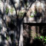 Image: Fourth image from the photoset 'beijing (iv)'.