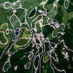 image: Image from the photoset ‘
mechelen (ii)
’.