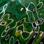 image: Image from the photoset ‘
mechelen (ii)
’.