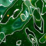 image: Image from the photoset ‘
mechelen (ii)
’.