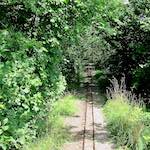 image: Image from the photoset ‘
esch–sur–alzette (xv)
’.