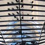 image: Image from the photoset ‘
berlin (ii)
’.