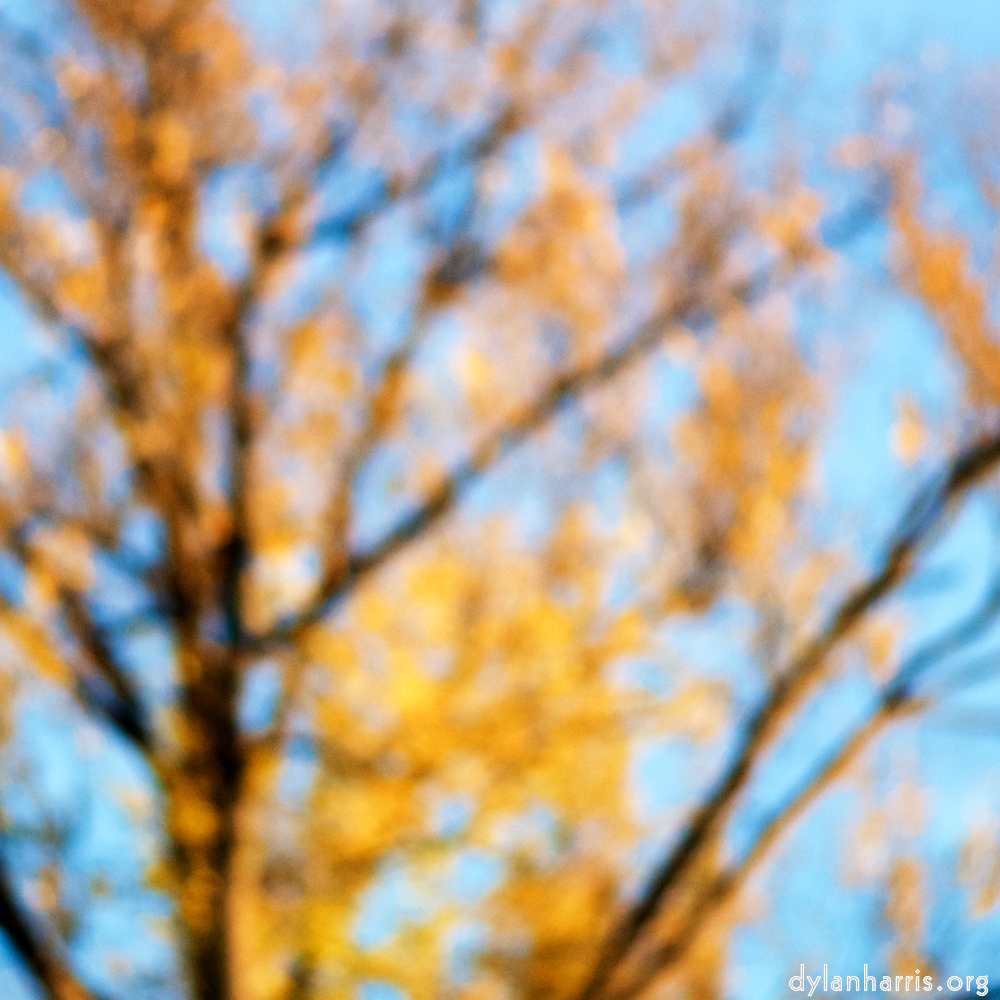 Image: Image 'parc (xxxiv) 1'.