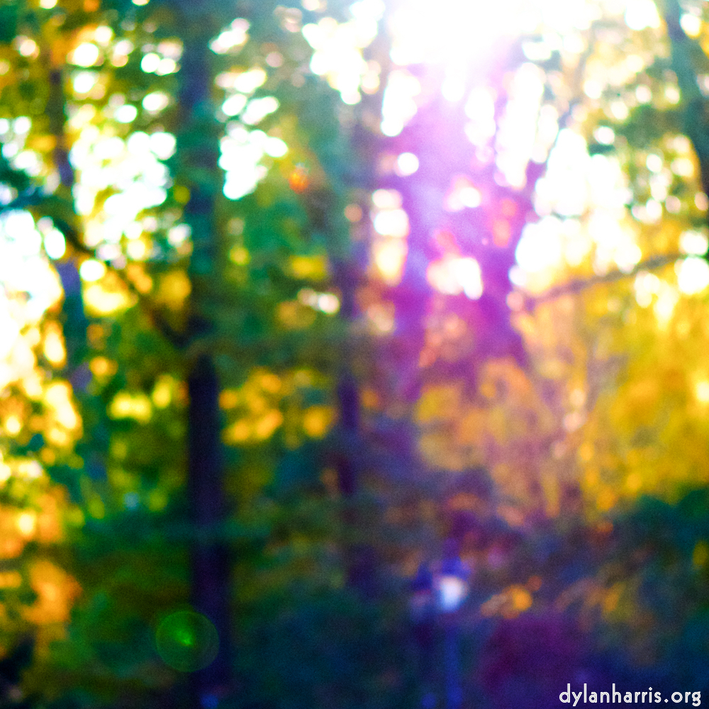 Image: Image 'parc (xxxiv) 2'.