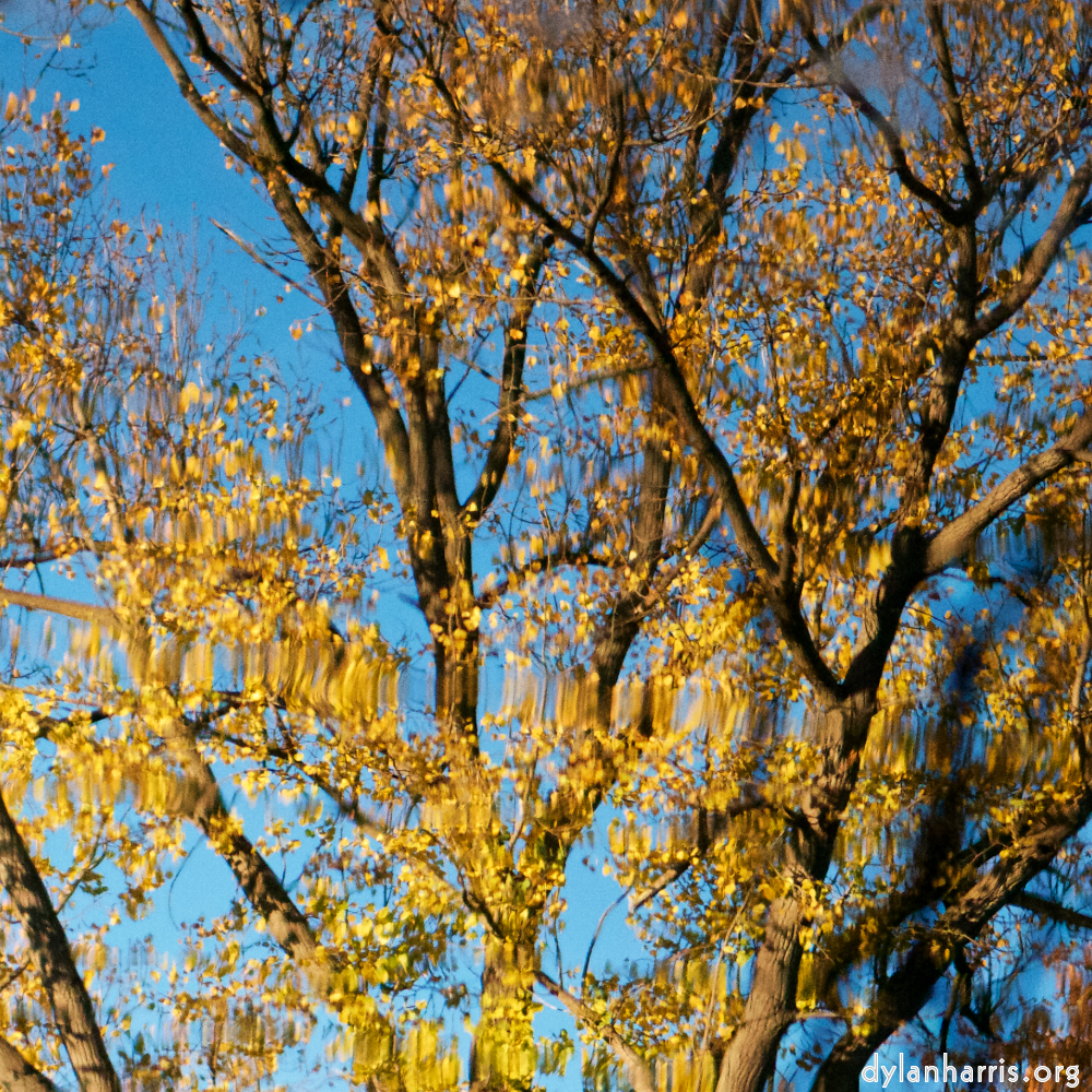 Image: Image 'parc (xxxiv) 3'.