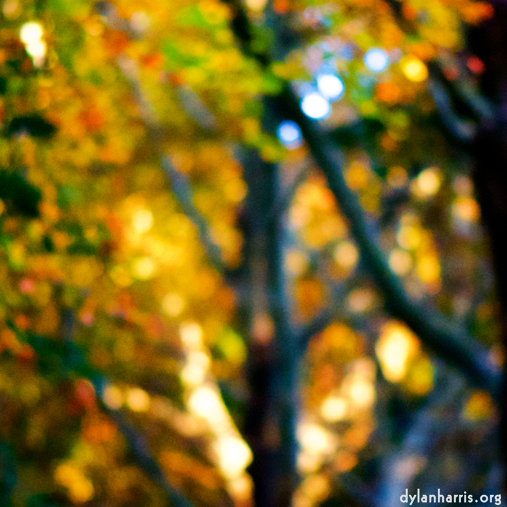 Image: Image 'parc (xxxiv) 4'.