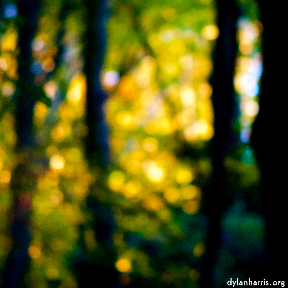 Image: Image 'parc (xxxiv) 6'.