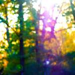 Image: Second image from the photoset 'parc (xxxiv)'.