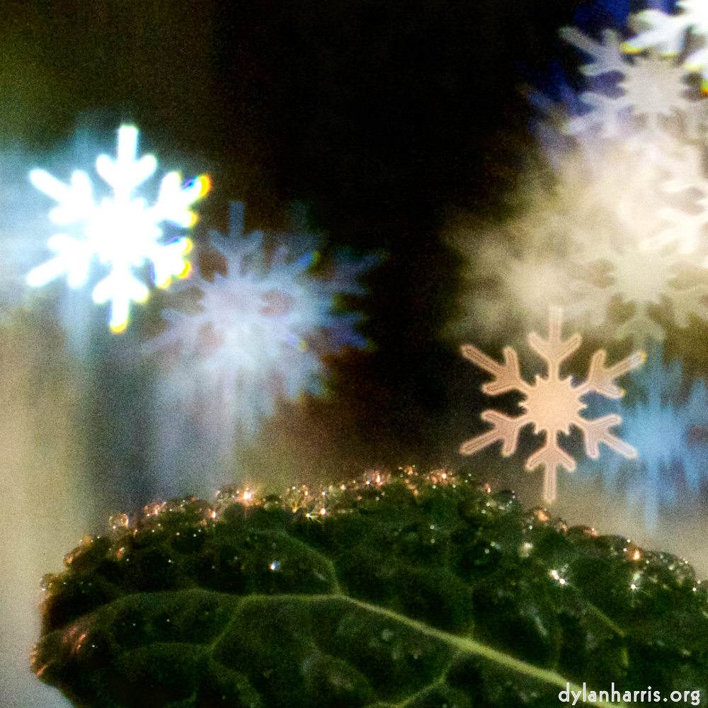 image: Image 'esch–sur–alzette (xxx) 3', at Place de la Résistance, the head and crest of a chicken.
