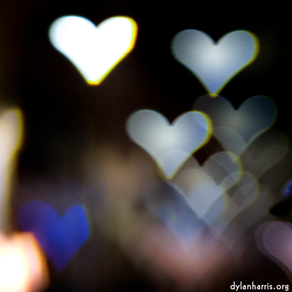 image: Image 'esch–sur–alzette (xxx) 5', of daffodils.