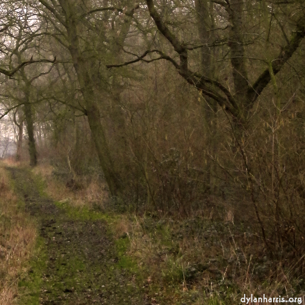 Image 'swineshead (vi) 1'.