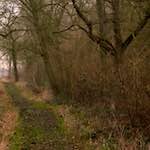 First image from the photoset 'swineshead (vi) — buster’s vanished'.