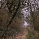 Ninth image from the photoset 'swineshead (vi) — buster’s vanished'.