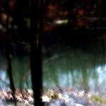 image: Image from the photoset ‘
terres rouges (x)
’.