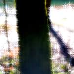 image: Image from the photoset ‘
terres rouges (x)
’.