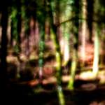 image: Image from the photoset ‘
terres rouges (x)
’.