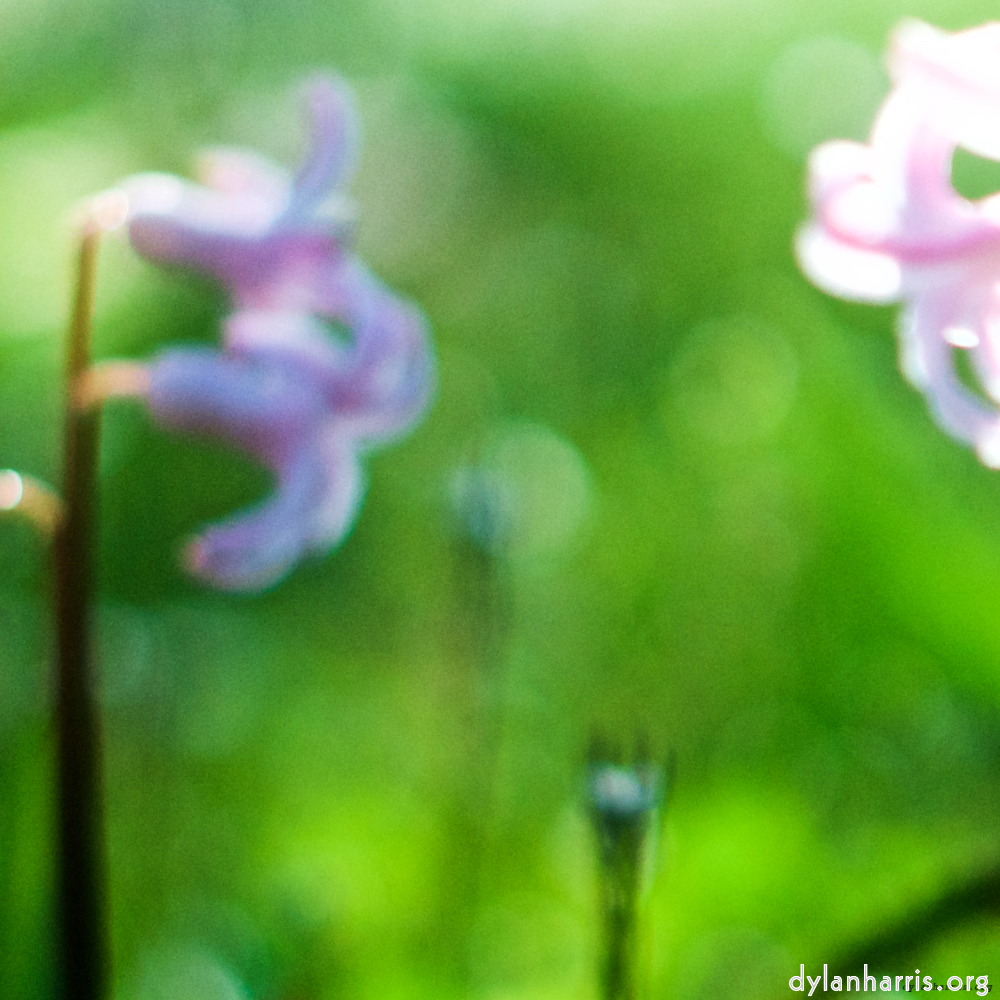 image: This is ‘
parc (xxiv) 2
’.