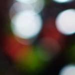 Image: Fifth image from the photoset 'parc (xxv)'.