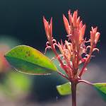 Image: Sixth image from the photoset 'parc (xxv)'.