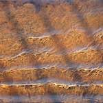 image: Image from the photoset ‘
escher blummen (cxxii)
’.