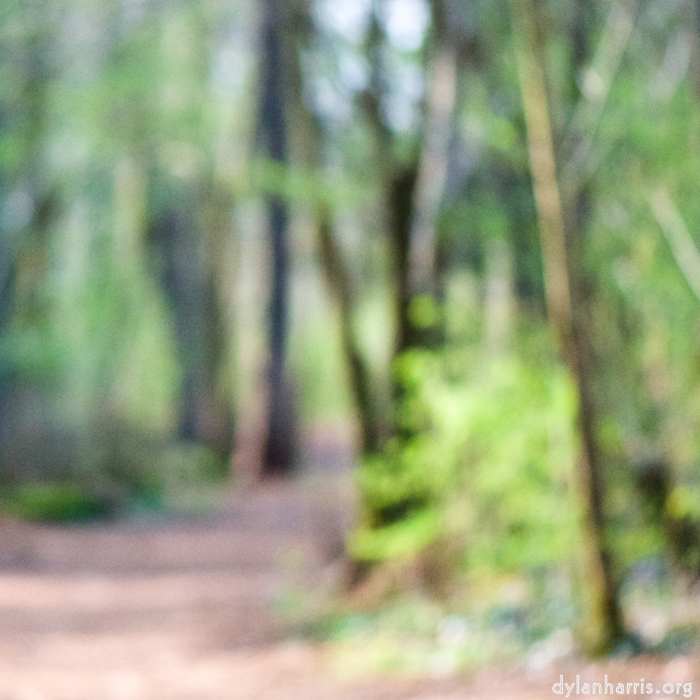 image: Voici ‘fleurs d’esch (cxxiv) 2’.