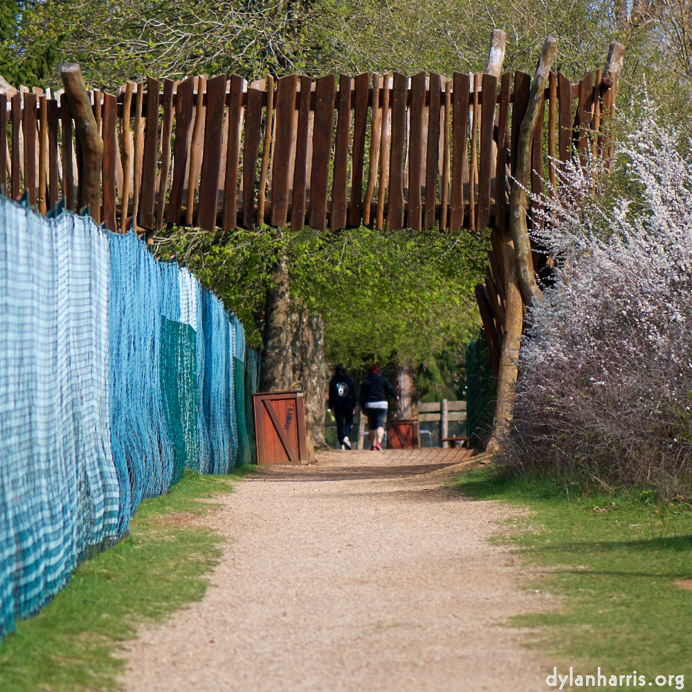 image: Voici ‘fleurs d’esch (cxxiv) 5’.