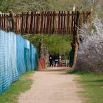 image: Image du photoset ‘fleurs d’esch (cxxiv)’.