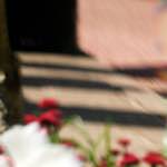 image: Image du photoset ‘abstrait (iv)’.