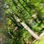 image: Image du photoset ‘abstrait (iv)’.