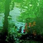 image: Image from the photoset ‘
brugge (i)
’.