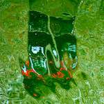 image: Image from the photoset ‘
brugge (i)
’.