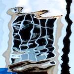 First image from the photoset 'leiden (i)'.