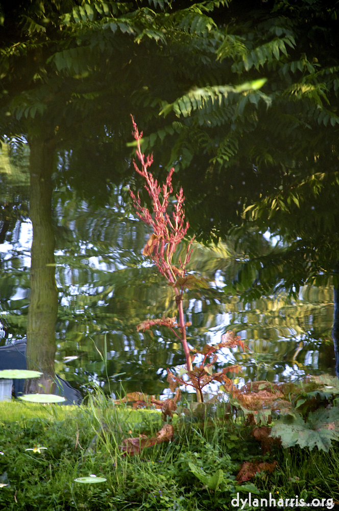 Image 'leiden (ii) 3'.