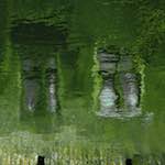 Image: Ninth image from the photoset 'brugge (ii)'.