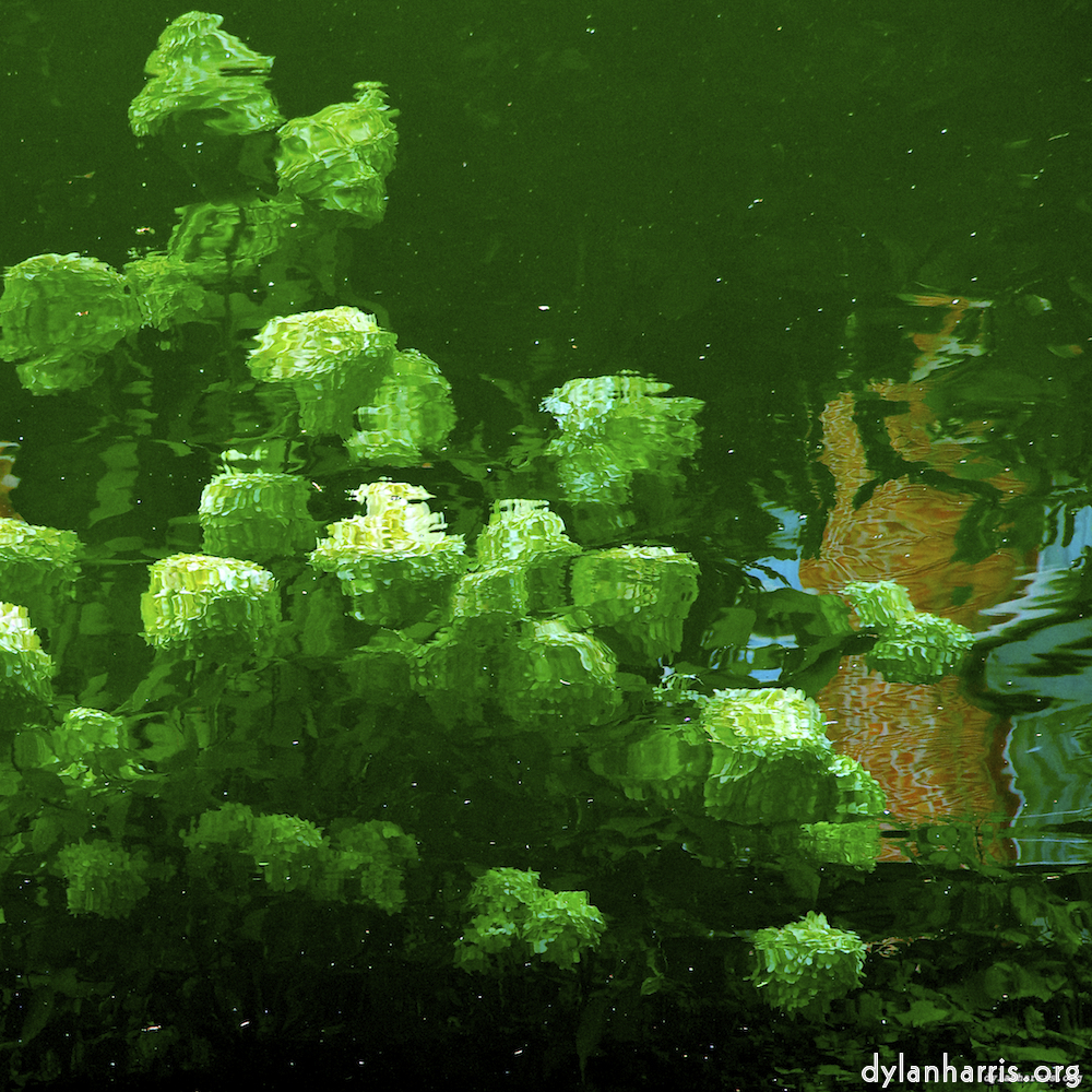 Image 'brugge (iii) 3'.