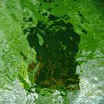 Second image from the photoset 'brugge (iii)'.